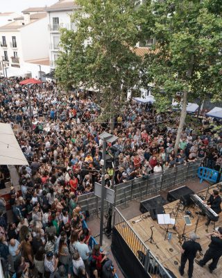 Benicàssim Blues Festival 2025